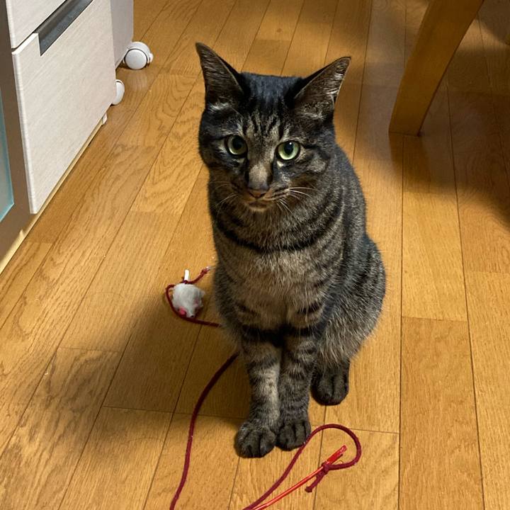 3a0ca55f e9e3 4885 aa91 f1abc6b024e9 1596302543655