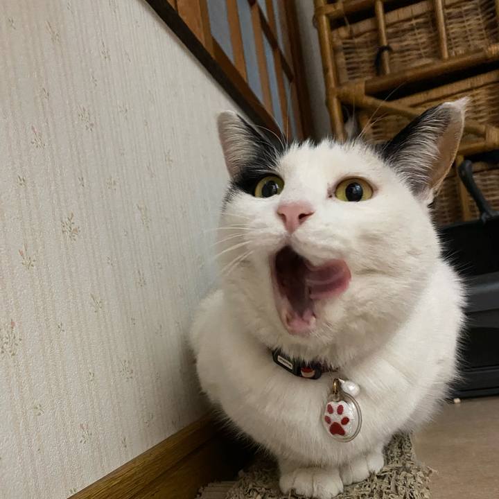 3a0d0017 6808 46ee 839a 06e79e2f9215 1643149110479