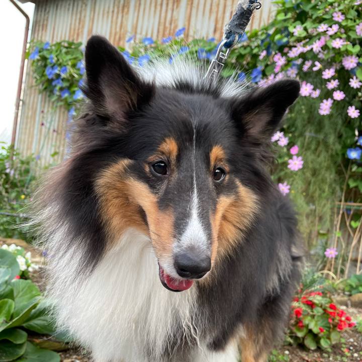 3a0d0759 3c8a 4c2d 8fff 0e8c13e2c952 1632644618242