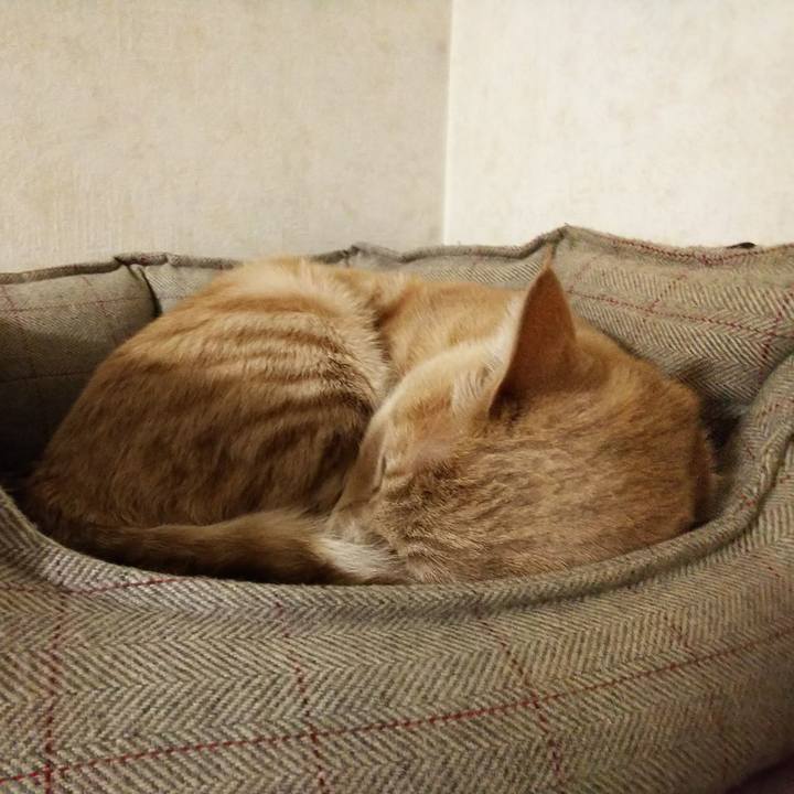 3a0d2c3f dc42 4e7f 804b 50305073ecf4 1549706647172