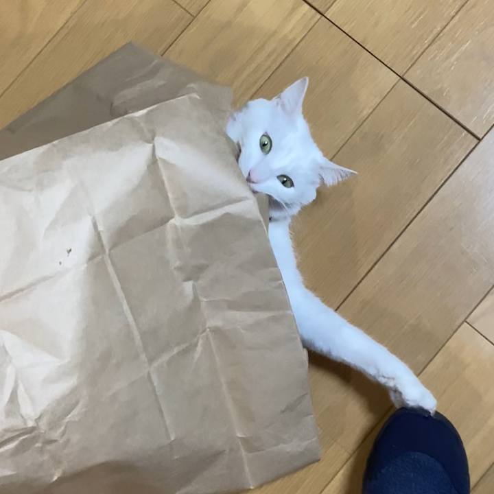 3a0d39e2 34af 44d8 ac16 daabad2421f1 1704753887715