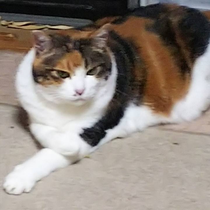 3a0d44fe af78 4df7 9f16 4de41c3e1daf 1537067056461