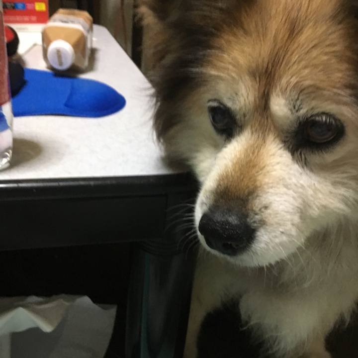 3a0d6d28 17a0 4fcd b759 f5c1e944983e 1561517088928