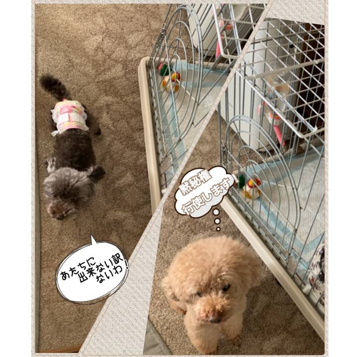 3a0d8801 b1ea 4b4f 997e 5b51f26693d6 1569297879867