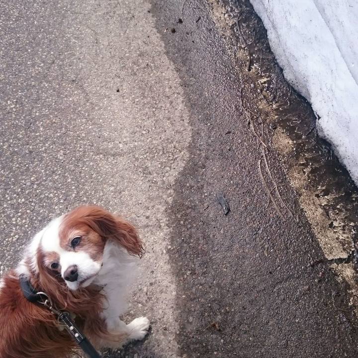 3a0d8cb2 afbe 4ba4 a1ed d403db474618 1520397030817