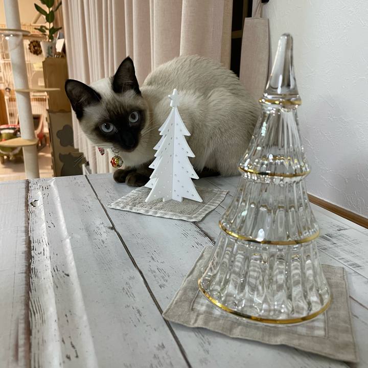 3a0d8dcb 8098 464c af34 00fa78d8a7e2 1702758157375