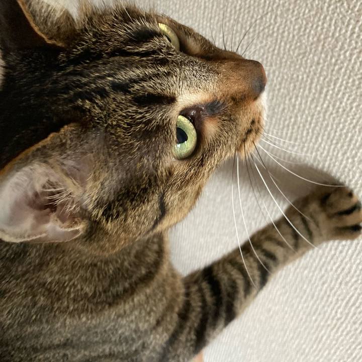 3a0d9a97 8b3c 4330 98b9 f99938d9b605 1624057519746