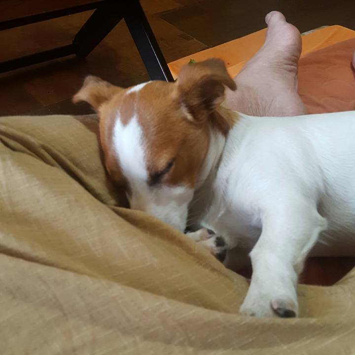 3a0dae24 aea8 4b1f b9bb 24725188b7f5 1558396953188