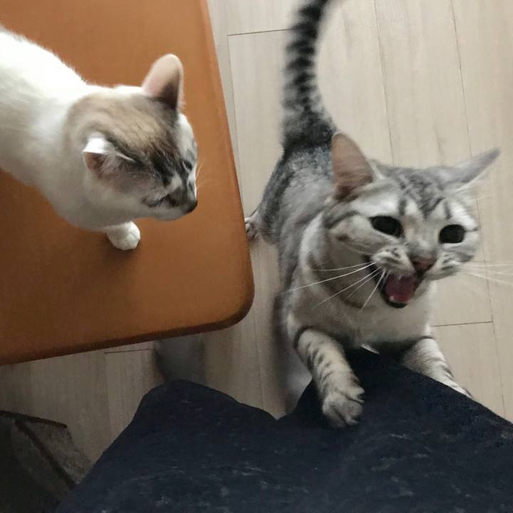 3a0dde60 7603 46d8 a091 0613f9baeed4 1520549615661