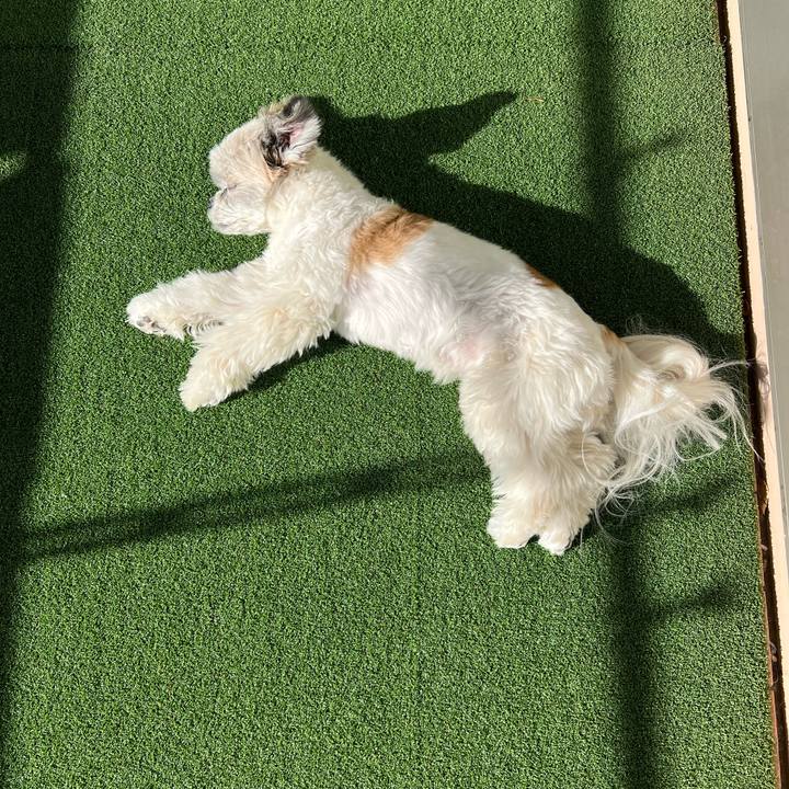 3a0e25ef d1bf 455e b0e6 4261533225e3 1706573111116