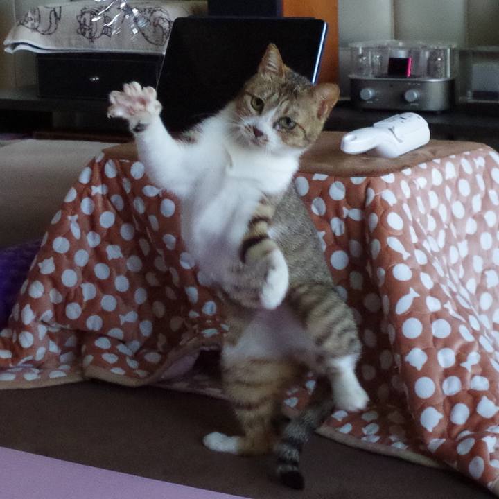 3a0e49cc 9f2b 455d aa62 b47cea612bb5 1593646258309