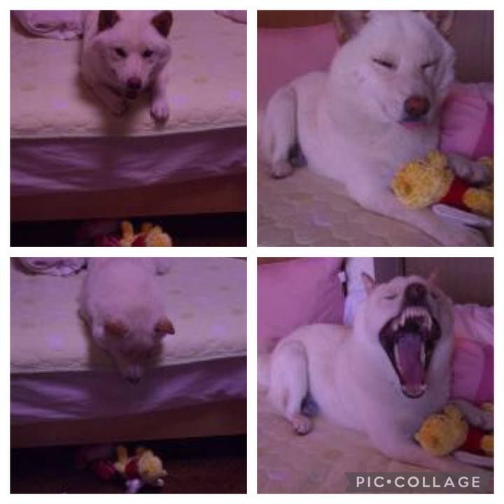 3a0eab2c a728 483a b3e0 78052edd8e3d 1648651796554