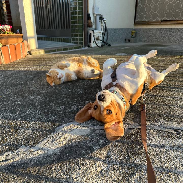 3a0ebfce f40b 4cac b4b7 adc0ccc225f5 1702297245436