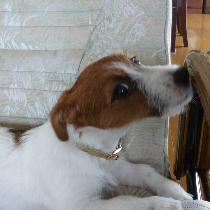 3a0eda09 f9d3 4989 99e3 cf082a8cdf75 1540305210510