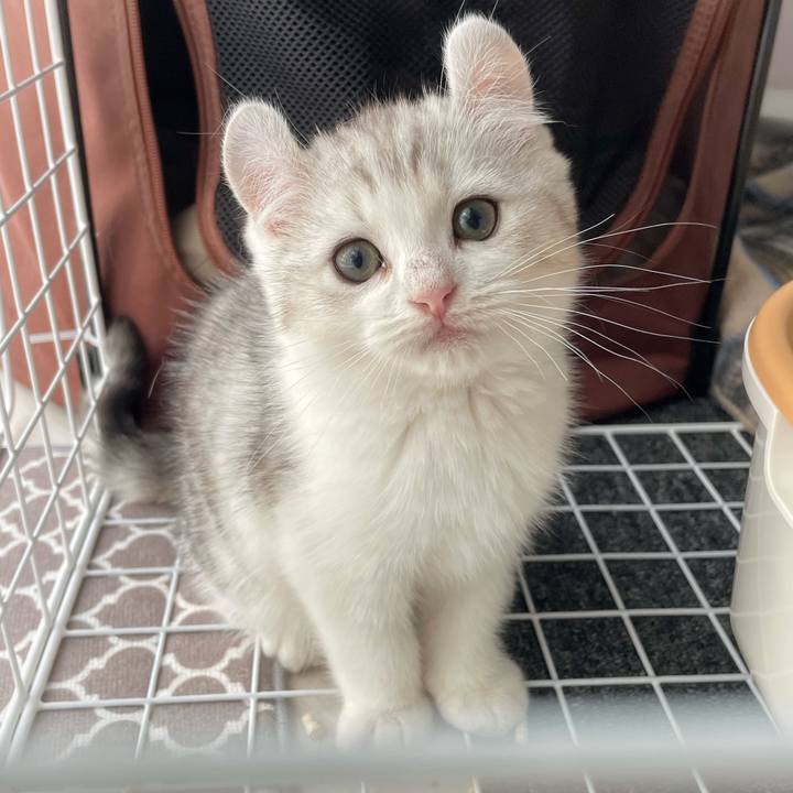 3a0eda4c 4e22 4a33 8e20 124e680b0357 1776296308082