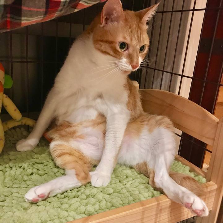 3a0eed9f fef7 4df8 8779 7eea7568c0eb 1555931605749