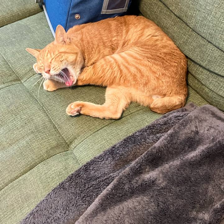 3a0f05a8 1ac8 4d3e a0d7 11e0747ff8b2 1761017968425