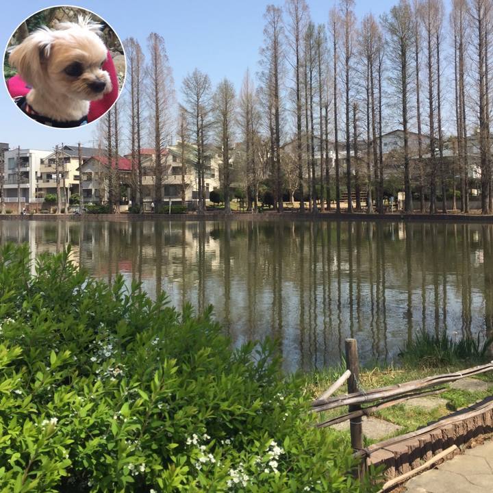 3a0f14c1 6c49 41df a24a 678d2a82c373 1523016764346