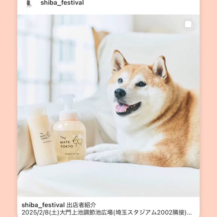 3a0f3e59 51a5 42a7 b9c0 842ac75377e3 1738993978108