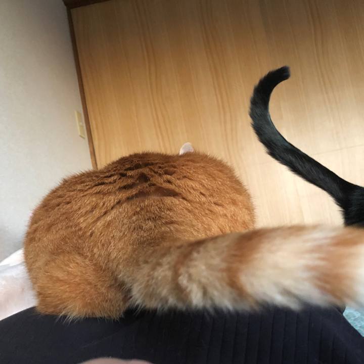 3a0f451c 1a89 4eae b0ca 4975d7a562d7 1665608214055