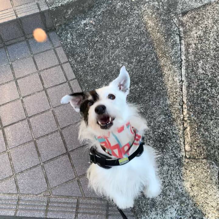 3a0f5caa c6b0 413c bd6e 740b319a5113 1755212875048