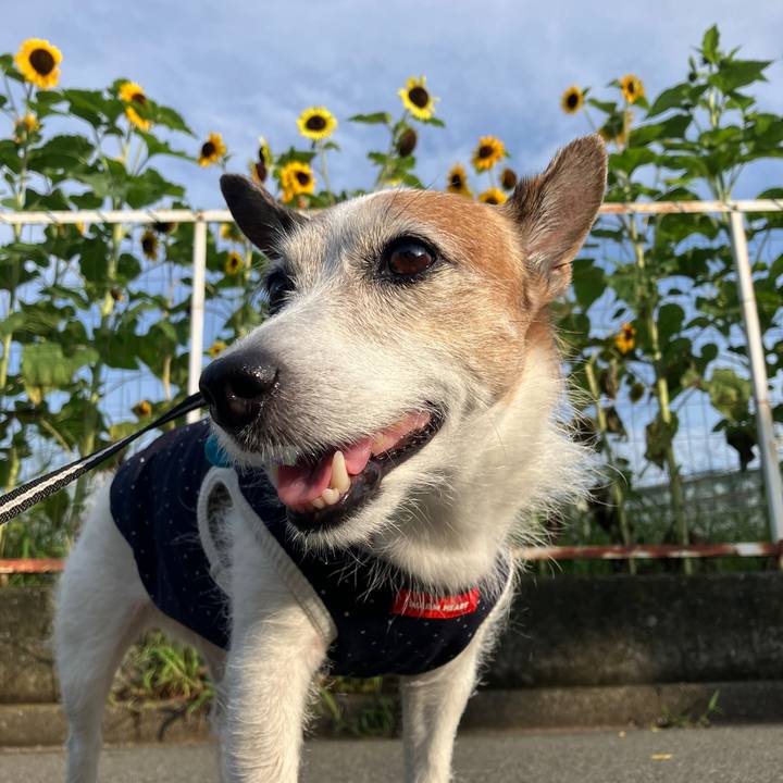 3a0fefef b3b6 4ae9 882e ed6ff6969a63 1720481291568