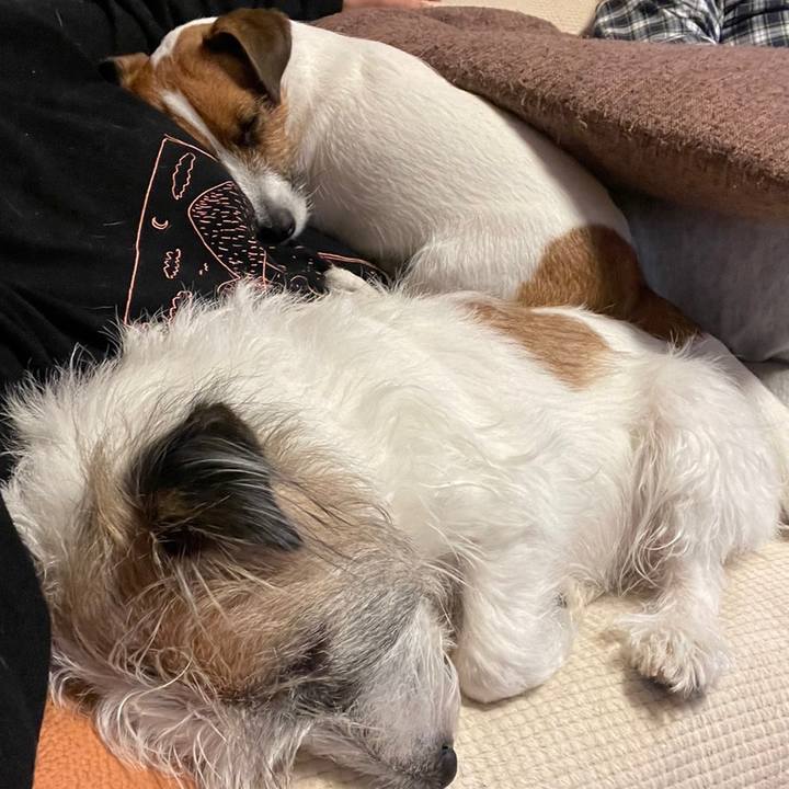 3a0ff5f5 e597 4ccc bd55 ef8f3c7e0f57 1665963983900