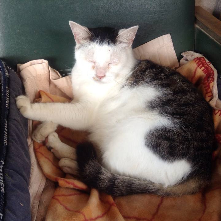 3a102f96 66d5 4d30 a9c7 d0ae5b7d54ff 1570333602038