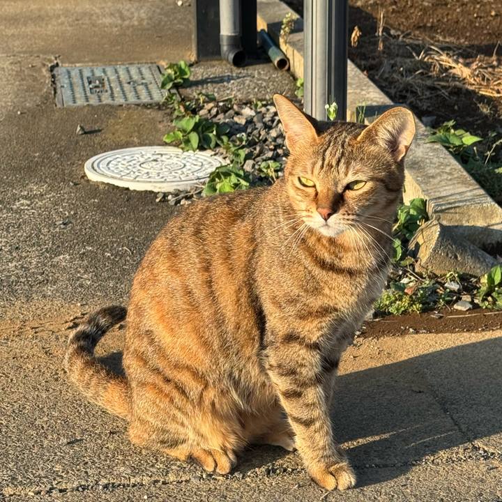 3a103d7f 53ff 4e34 88d4 447b95b5a568 1757204259752