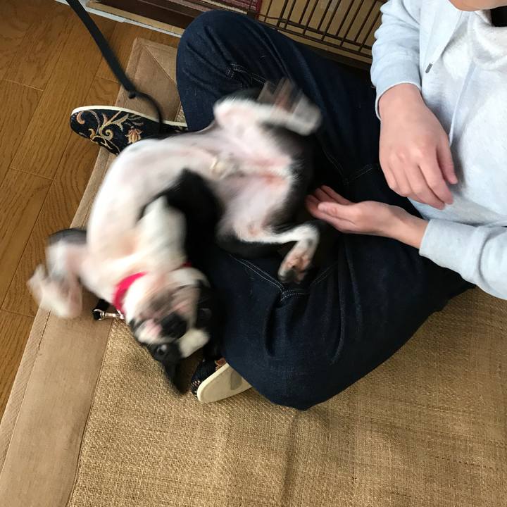 3a1054cb ee03 4823 bf30 9620b8a71f20 1518474291318