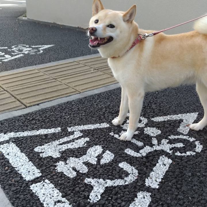 3a106c1f c58b 4eec b479 a9b0f85cc2ca 1597360517397