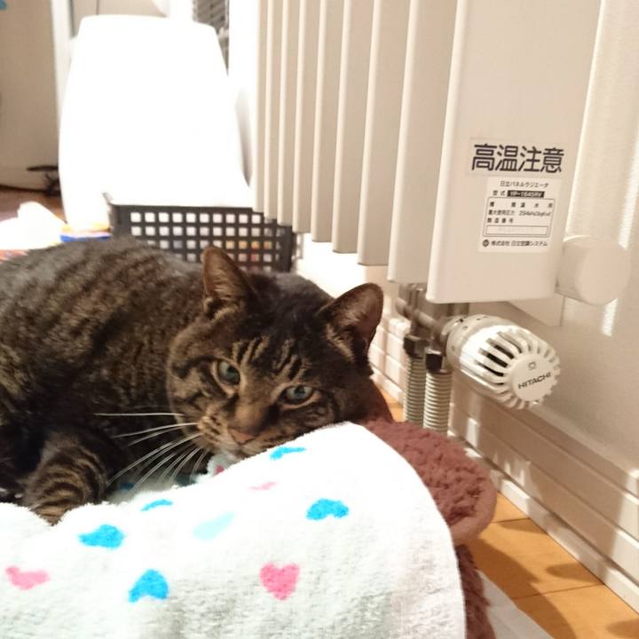 3a109b73 1b48 4b44 ae2c e8a1a5783cb6 1548976636784