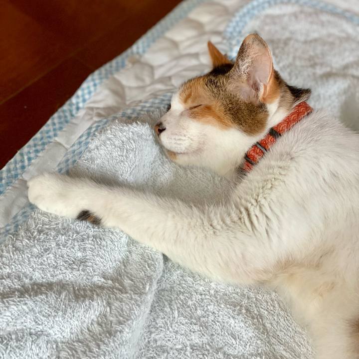 3a10d614 74a2 44a5 a953 331bbeb0984d 1663390422909