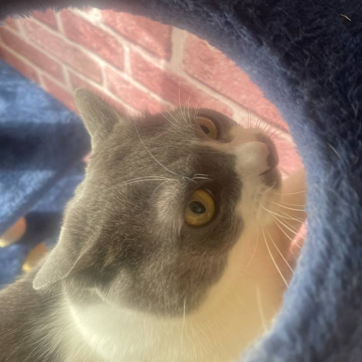 3a11128f bca3 4db6 abb4 5e33c8c63fc8 1730764249589