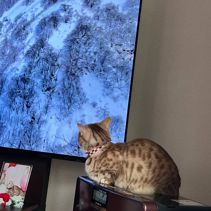 3a1163b7 a649 4f26 b7d7 16c5893b145b 1676760910513