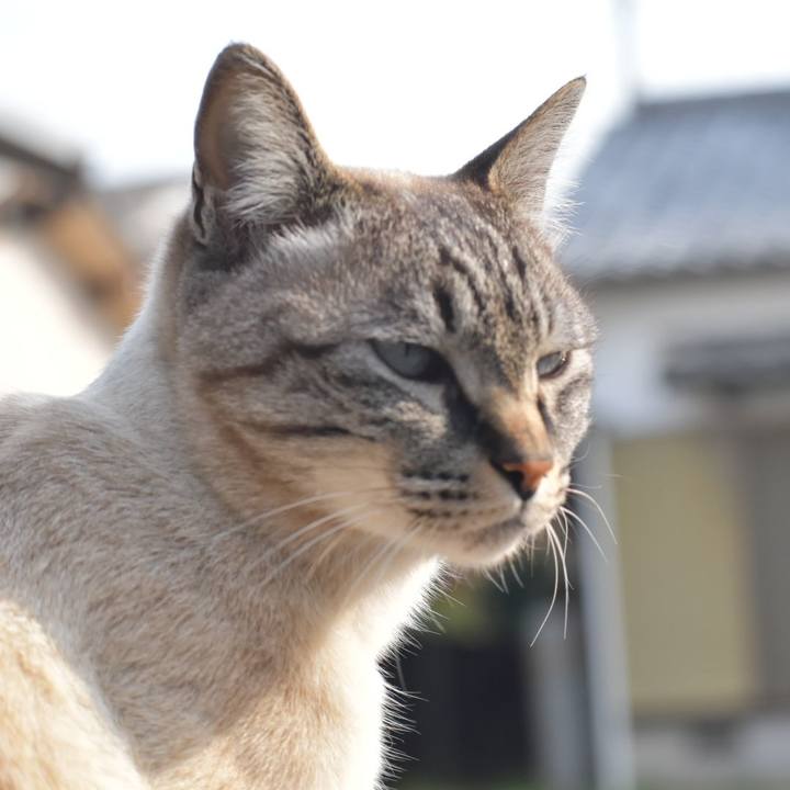 3a118a80 96f6 4e26 a722 3c2bc00600cb 1567635457699