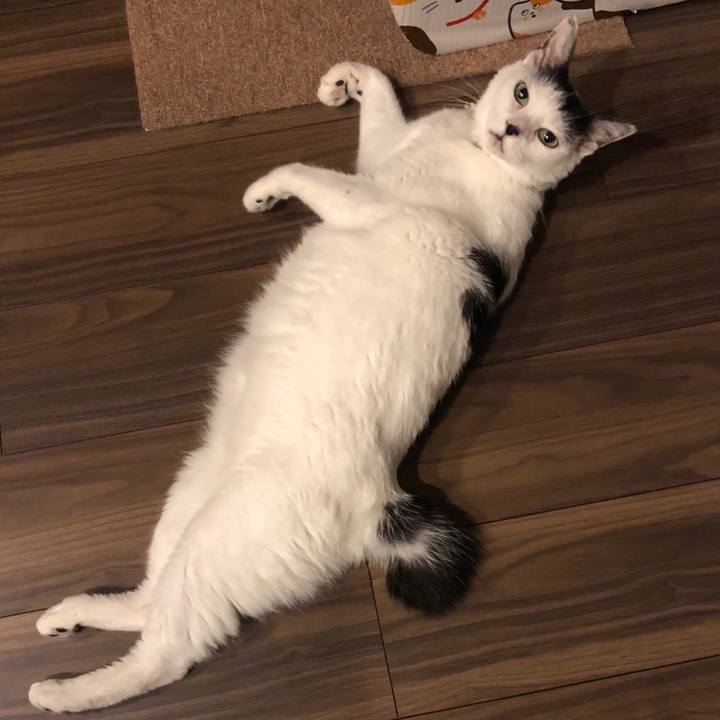 3a118cad 50f9 4c71 aad8 f982feda1ced 1534940219064