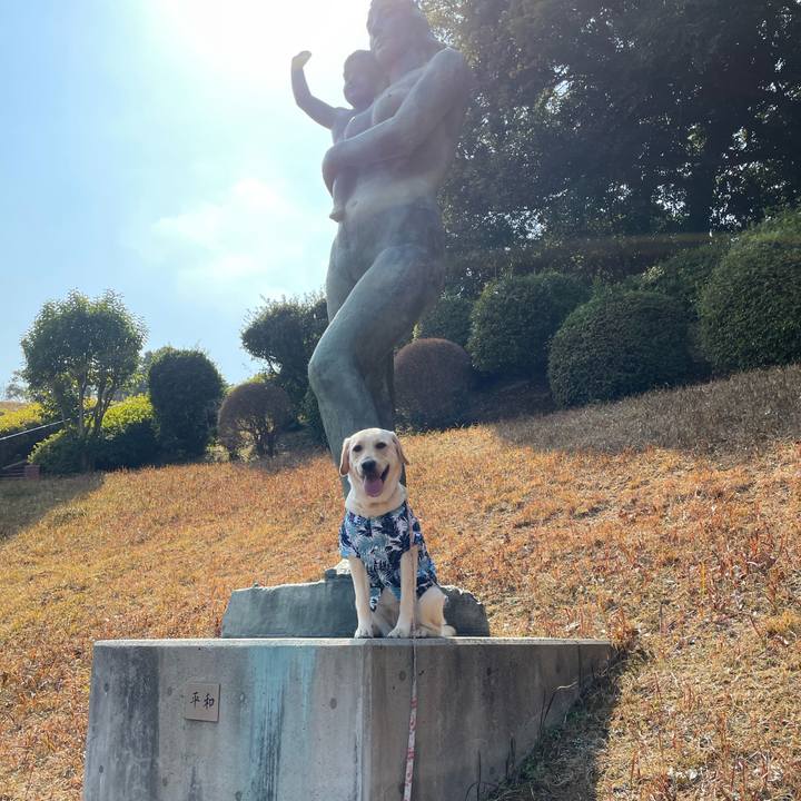 3a119bf8 e88b 45c6 8b0e 4612c78c5cc3 1646874414571