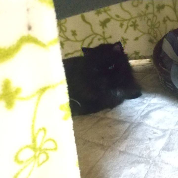 3a11ade6 3d18 4ad9 8f92 3ae101692eaa 1696501400133