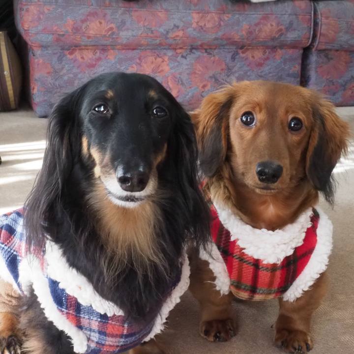 3a11b5fe 29a3 491b b509 aca6129c6989 1703478196959