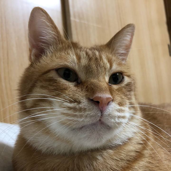 3a11be39 b946 4741 bf46 00ca2fa1af4e 1582796451938