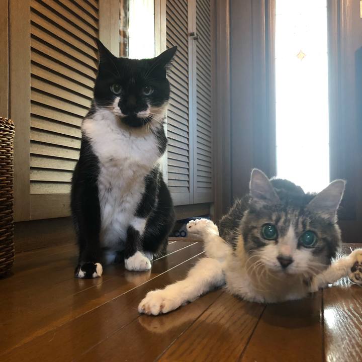 3a11c55a 768d 4e1a a60a 2c54c7a3fc41 1568330863817