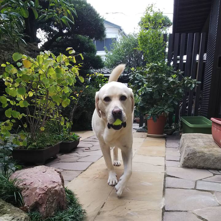 3a11d6ac 5edd 48ce b4f7 719f6888647d 1571115093620