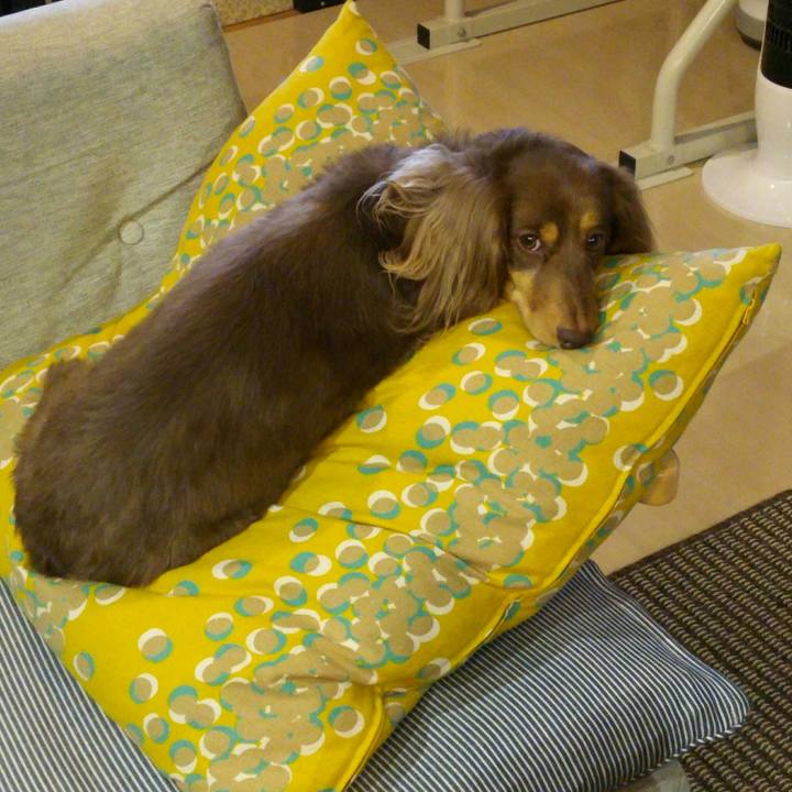 3a11e566 3014 4593 b16b 48c2d0ca91eb 1524523992686