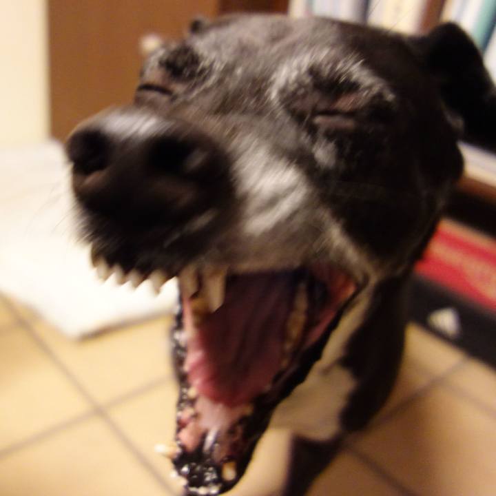 3a120e45 5718 454d 8bd6 f580c961570b 1747614769263