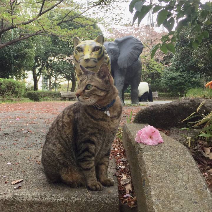 3a121ffd cea4 4719 a51b e6f0d8412744 1523093160965