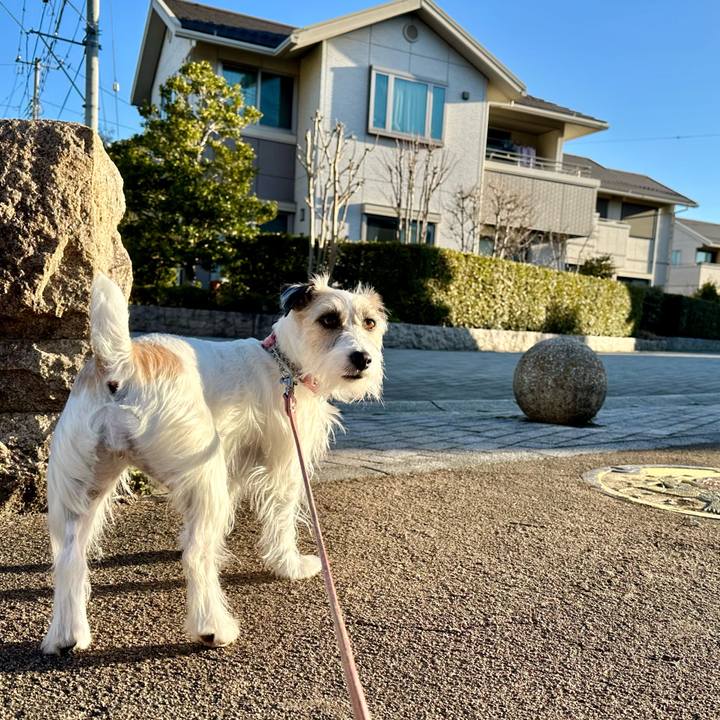 3a129699 72e4 4c52 a31e ffc2c773c452 1709474815247