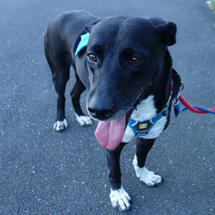 3a12f999 882a 4a1a 96b1 4473e226bfdf 1626950165684