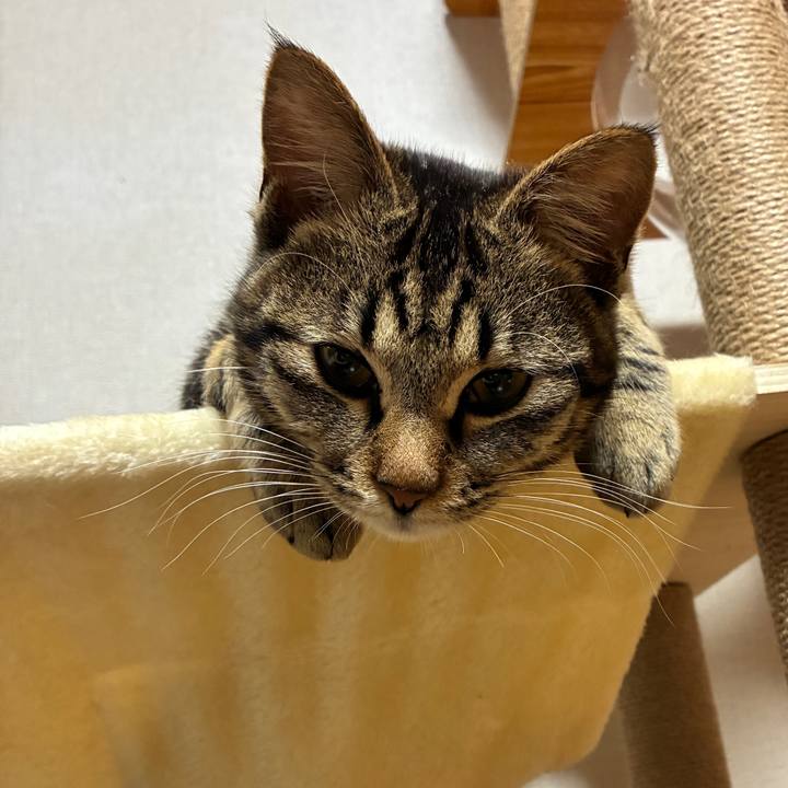 3a1337e6 61c3 44ff 892b 33b20e2e981d 1748085525156