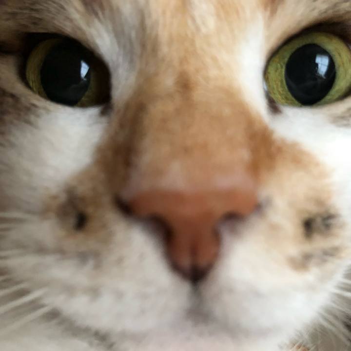 3a1397c3 f71f 41e6 b500 ab13723fde4b 1538610821988